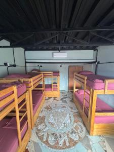 Canova Hostel & Pizza