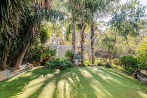 Panaromic Tree view Melbourne city