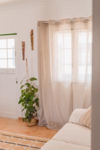 Casa do Mar - Almograve - Magnífico terraço com vista para o campo