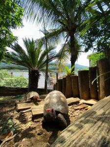 Casa com piscina em São Sebastião-SP