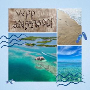 Sol de Coveñas Caracol