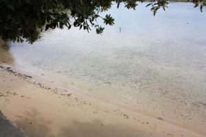 Apartments by the sea Supetarska Draga - Gonar, Rab - 24423