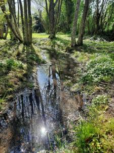 Sejours a la campagne Moulin de Janlard : photos des chambres