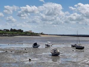 Appartements Studio proche plage a Chatelaillon avec terrasse et parking - Animaux admis - FR-1-706-9 : photos des chambres