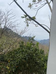 Motel- Nhà nghỉ Bảo Lâm