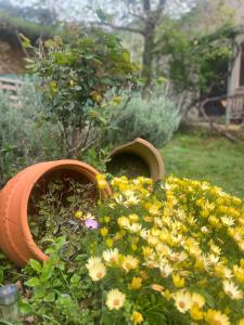 Chalet Dirfys - Escape in the heart of Evia