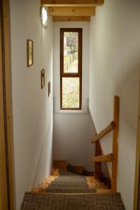 Cabana Bradul Skiland