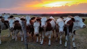 Chambres dhôtes les portes de la Saône