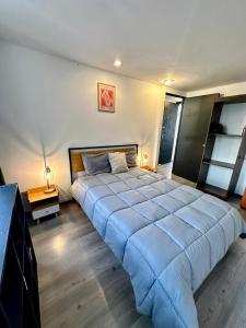 Charming apartment in Condesa