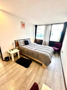 Charming apartment in Condesa