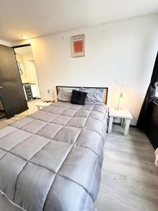 Charming apartment in Condesa