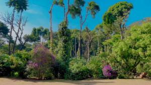 The Perch -Entire house. A Coffee Lovers Paradise