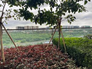 1BR with Queen Bed and Balcony, Walk to Okada