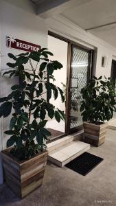 Pacific Palms Motor Inn