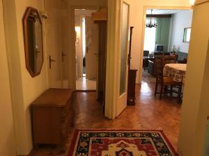 Elegant Apartment