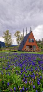 Mestia Sunrise Cottage - 3BR Mountain Retreat