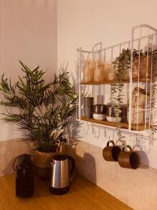 Tiny House t Kleine Paradijs