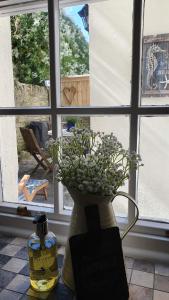 Belvedere Lodge Swanage Dorset Sea View Luxury