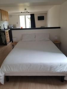 Appartements appartement cosy avec jardin Amboise : photos des chambres