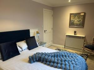 Luxury 4 bedroom lodge in Doolin