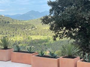Villas Maison de charme dans les Dentelles de Montmirail : photos des chambres