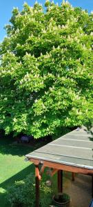 Laukarts Garden