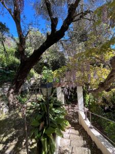 Seaside Jungle Retreat