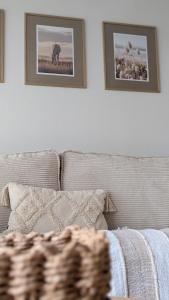 Joli rez de jardin piscine