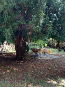 Residence with pool and tennis - Saint Sozy