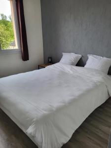 Appartements DELL appartement : photos des chambres