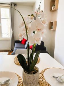 Spacious Home-Style Nancy Apartment