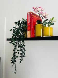 Appartamento Deluxe
