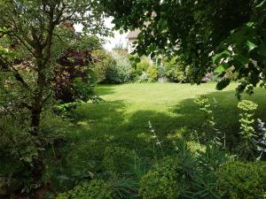 Maisons de vacances Les 7 Tilleuls - Gite : photos des chambres