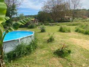 Maisons de vacances Gite Wildflower Lane : photos des chambres