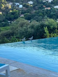 Maisons de vacances new! Villa vue mer panoramique proche plages Saint-Tropez calme parking facile piscine privee individuelle : photos des chambres