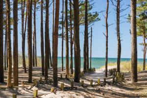 Japandi style luxury penthouse