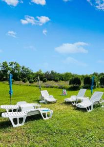 Quirky Park - Pool, hot tub, cold plunge, sauna and exclusive party room