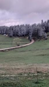 Cabana Diana Dealul Frumos