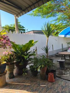 Kuala Besut - Homestay Ku Baru