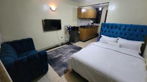 DNG Homes Cute studio apartment Polyview, Kisumu