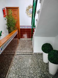 Anaga y La laguna a tus pies