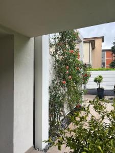 Love Italy Homes - Veneto 31