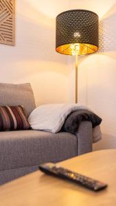 Appartement de lammonite