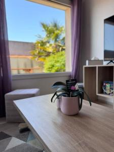 Appartements Dunes Apart-Hotel - Kiwi Residence : photos des chambres