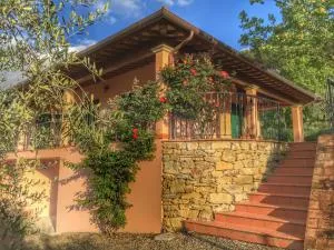 Tuscany Roses - San Firenze - Fonte Di Sala