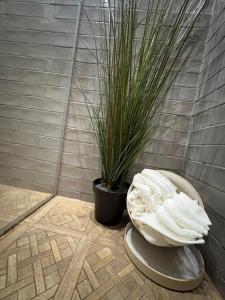 Martine Urban Stay