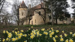Gite In The Heart Of Historic Residence