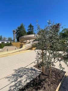 Campings Camping Les Tourterelles : photos des chambres