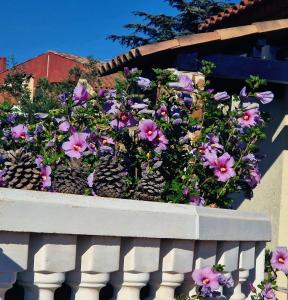 Villa ANTHEA