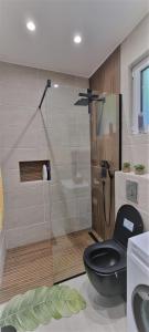 Larimar Cozy Apartment